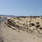 Marvida 科拉雷侯