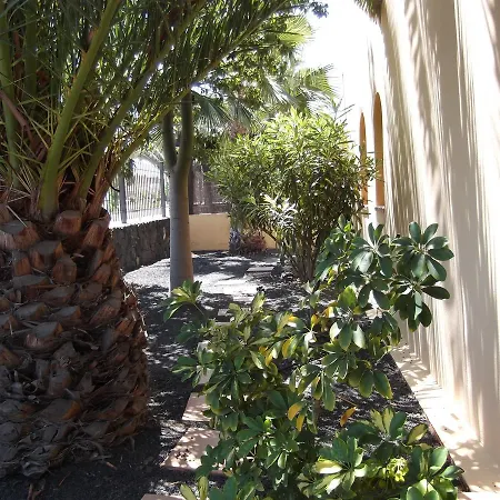 Marvida * קורלחו