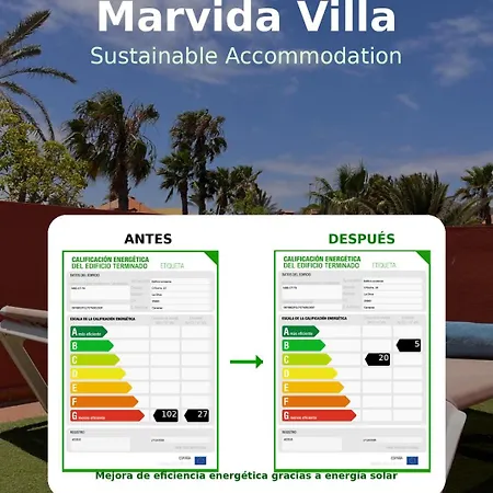 Marvida *